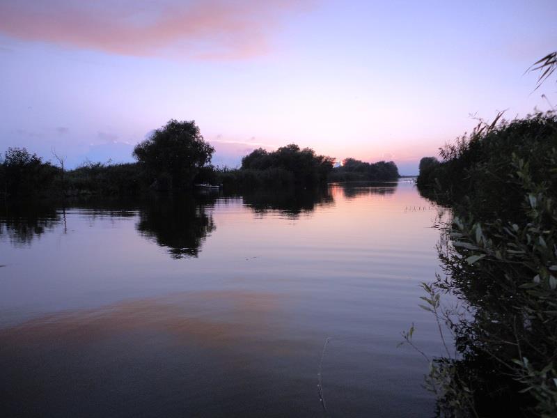 Rosu - Septembrie  2015 - dsc01878.JPG